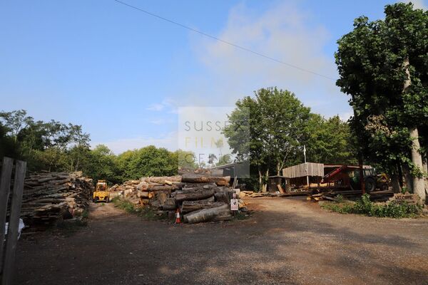 Timber Yard - Trees