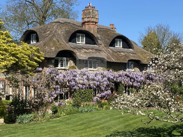 Beautiful Thatched Roof House